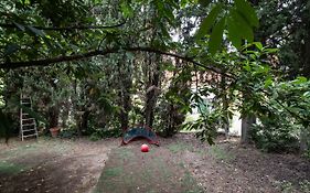 Vatican Quiet Apartment With Garden & Parking